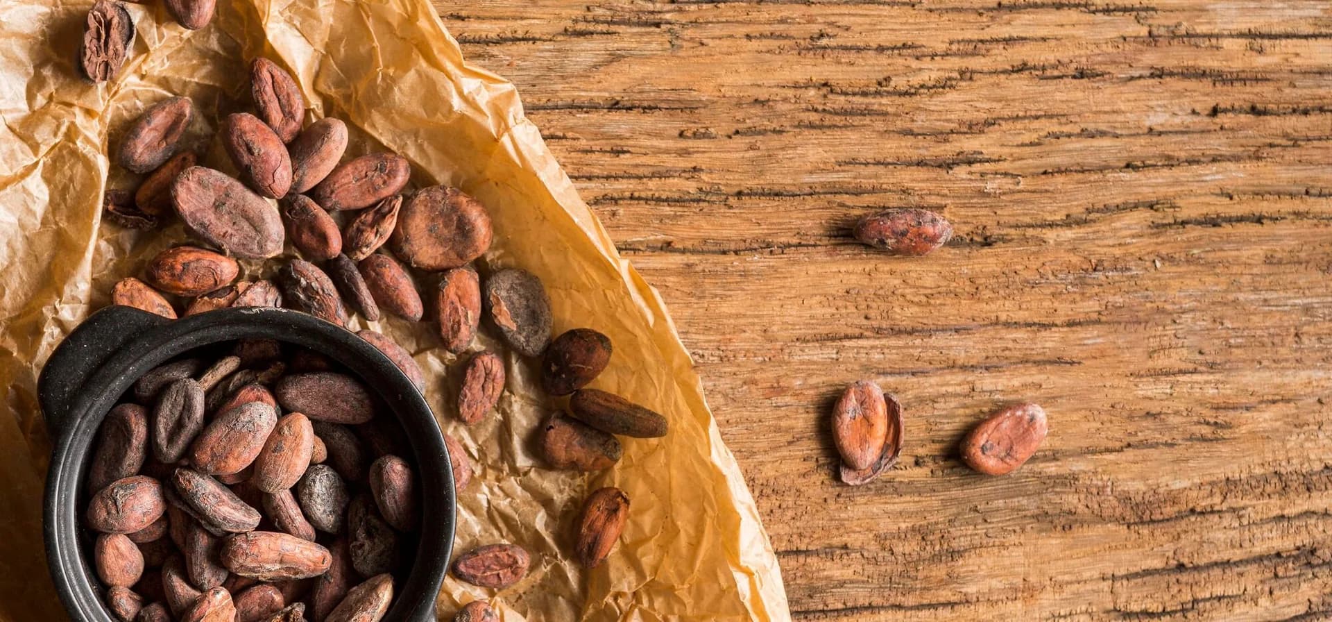 Fèves de cacao séchées dans une cabosse ouverte